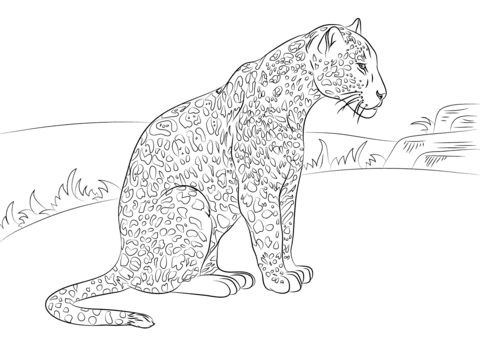 Cute Jaguar  Coloring Page